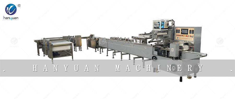 HY-P400 packaging machine -1L